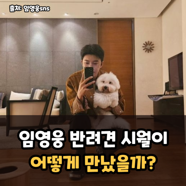  임영웅 반려견 꼬동드툴레아 시월이