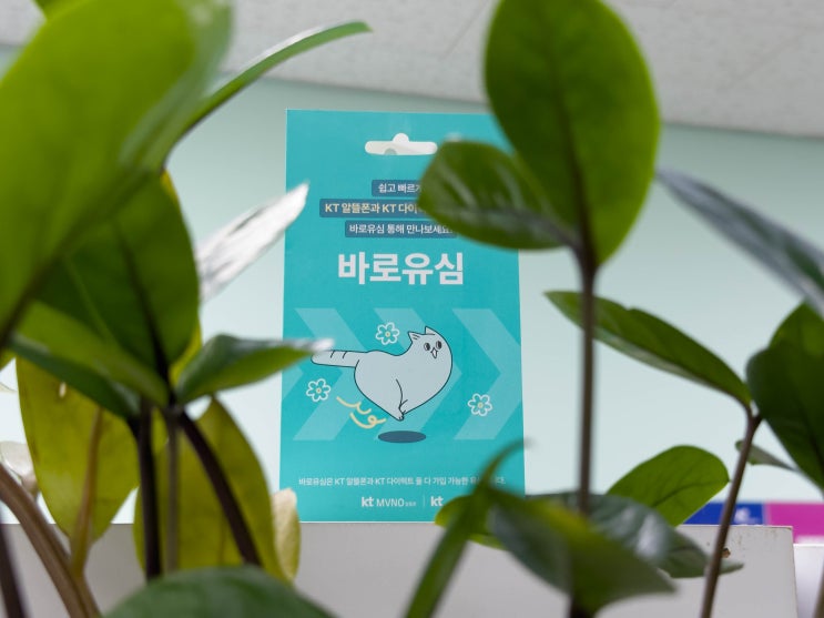  편의점 선불유심 판매 가격 및 개통 순서