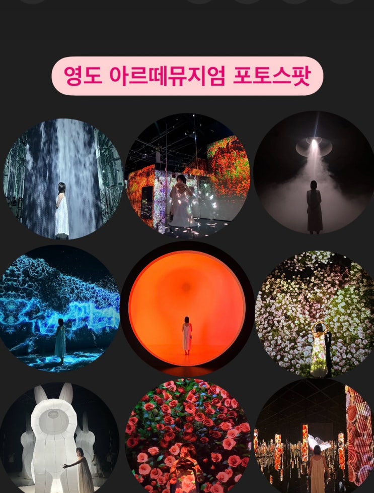 부산 아르떼뮤지엄 가볼만한곳 주말 오픈런 내돈내산 찐 후기, 할인 , 주차 꿀팁