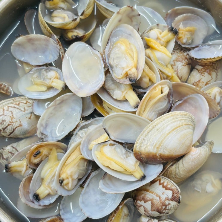  [내돈내먹]창원 마산 귀산 바지락칼국수, 바지락 부추전 맛집 ‘전라도 팥 바지락칼국수’