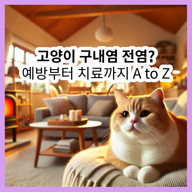 고양이 구내염, 전염될까? 증상부터 치료법, 예방까지 완벽 가이드!