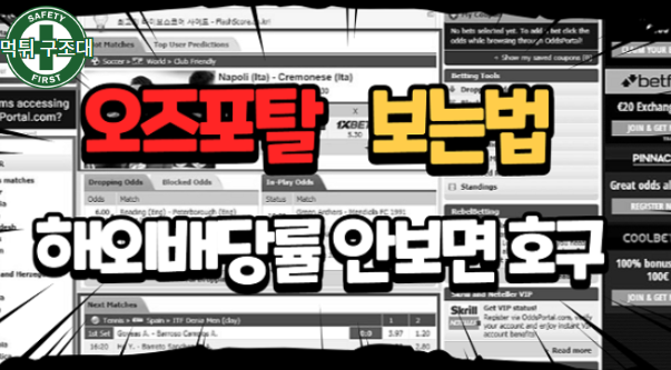  반드시 알고 있어야 되는 해외 배당 사이트 오즈 포탈 보는 법