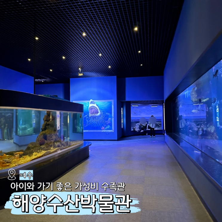  여수 가족여행 코스, 해양수산박물관 가성비 좋은 수족관