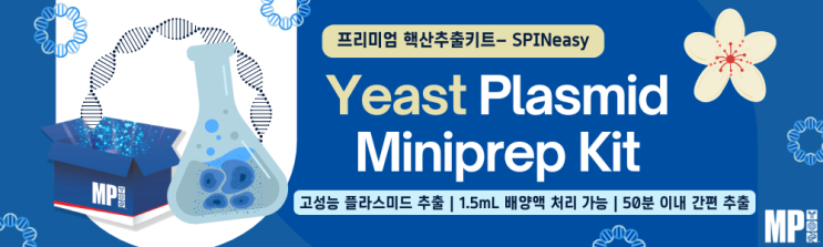  간편한 효모 플라스미드 추출: SPINeasy Yeast Plasmid Miniprep Kit