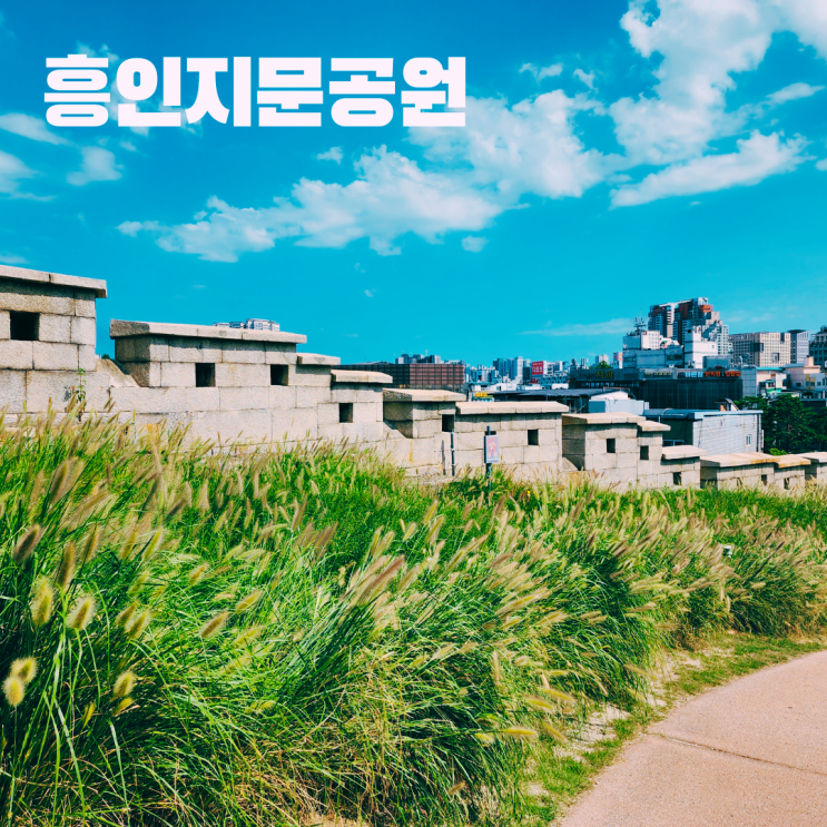  흥인지문 공원 주차 가을 갈대밭 나들이 한양도성 성곽길 동대문 가볼만한 곳