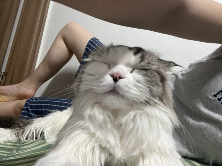  [일상] 부담없이 봐주세요, 꽤 즐거운 일상이거든요