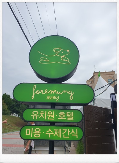 사진 7