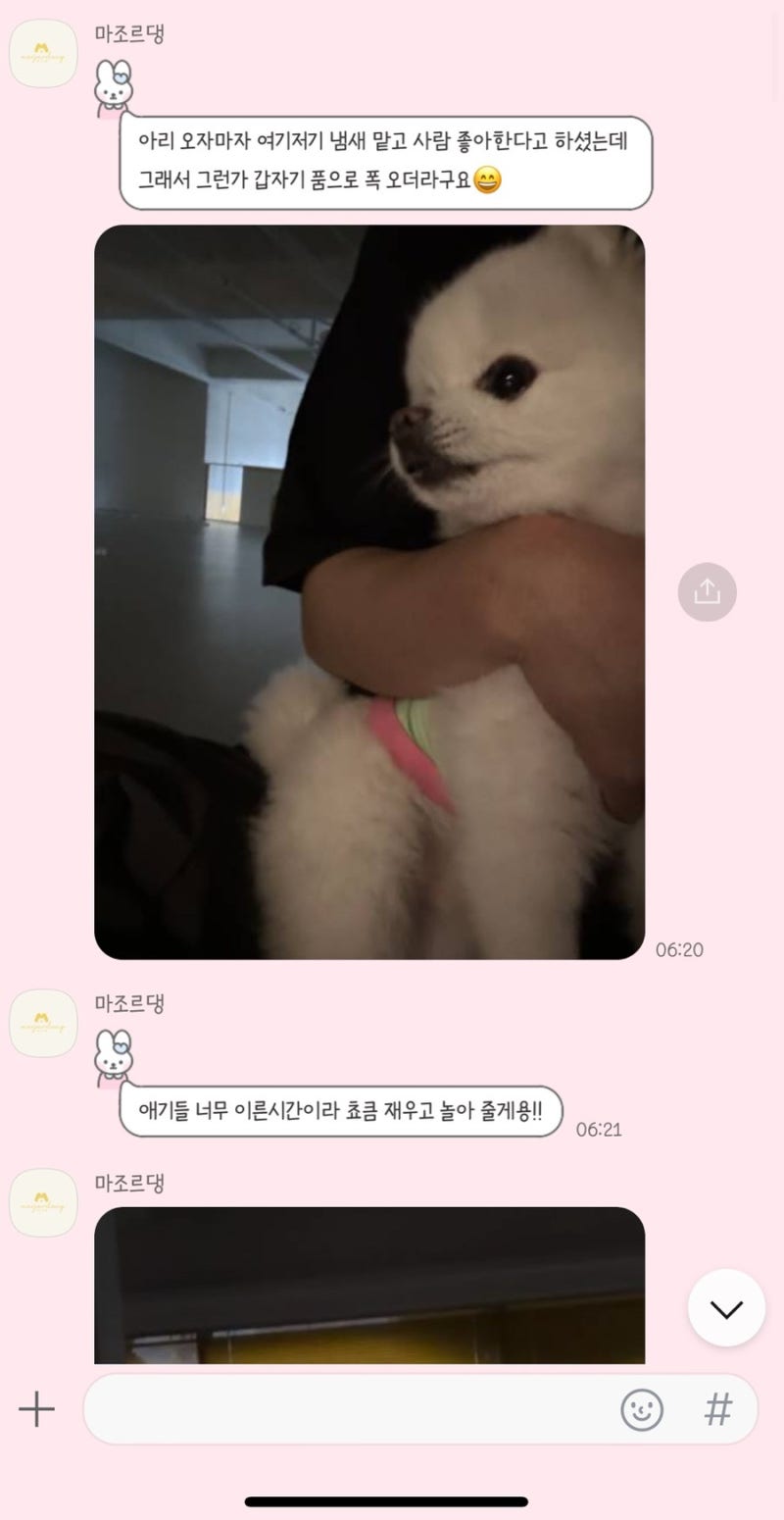 마조르댕 애견유치원&호텔 천안점
