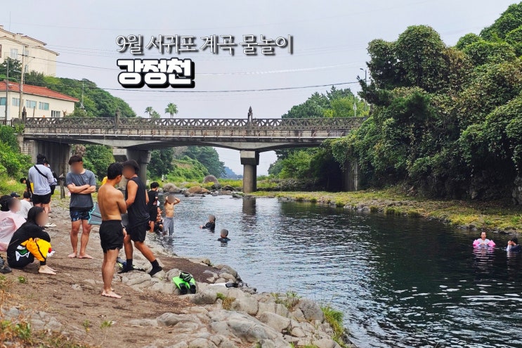  제주 강정천 유원지 제주도 숨겨진 계곡 당일치기 물놀이 추천