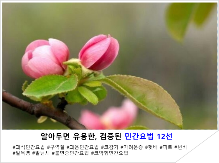  알아두면 유용한 검증된 민간요법 12선