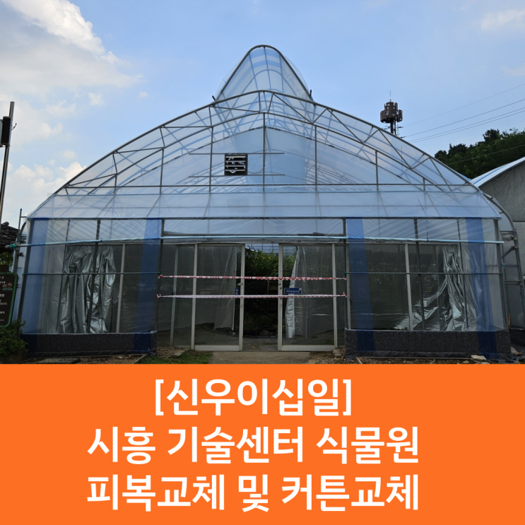  [화성 비닐하우스 피복 전문기업] 시흥 기술센터 식물원 피복교체 및 커튼교체 후기 / 시흥 비닐하우스 / 화성시 비닐하우스 / 화성 농자재 전문업체 / 산광비닐/ 산광비닐전문