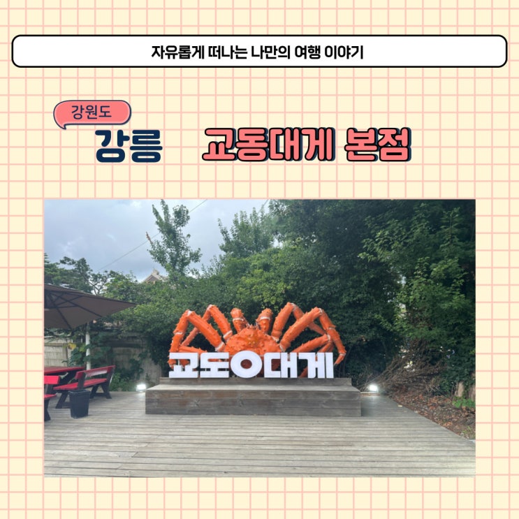  강릉 교동대게 본점 또 가고 싶은 대게 맛집 내돈내산 후기