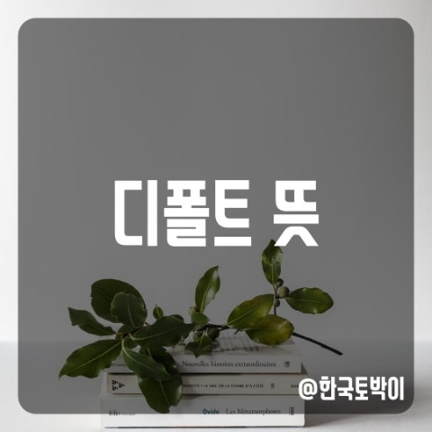  디폴트 표정, 디폴트 값 뜻 (default)