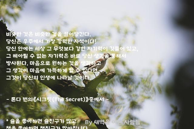 당신 당신