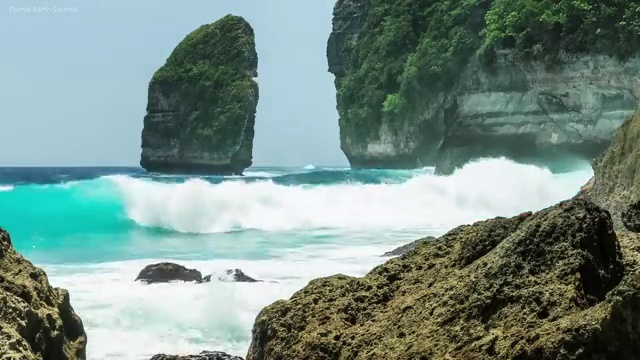  부산 병원코디네이터 자격증 , 병원코디네이터 자격증 독학으로 취득했던 후기 요점정리