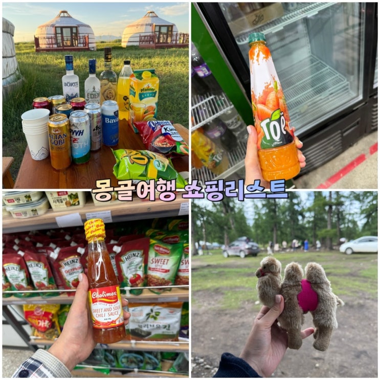  몽골여행 쇼핑리스트 기념품 보드카 맥주 간식 정리