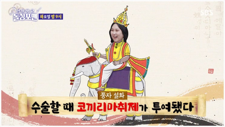  풍자 성형 한고은 신발벗고 돌싱포맨 티키타카 토크 결혼생활 프러포즈 연애 스토리 코끼리 마취제 몸무게 미국 이민  예능 SBS 탁재훈