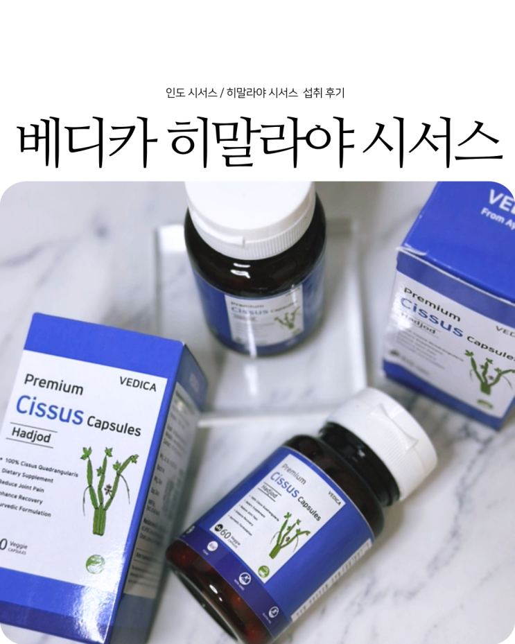 가벼워지는 다이어트 추천템 베디카 히말라야 시서스 캡슐 섭취 후기