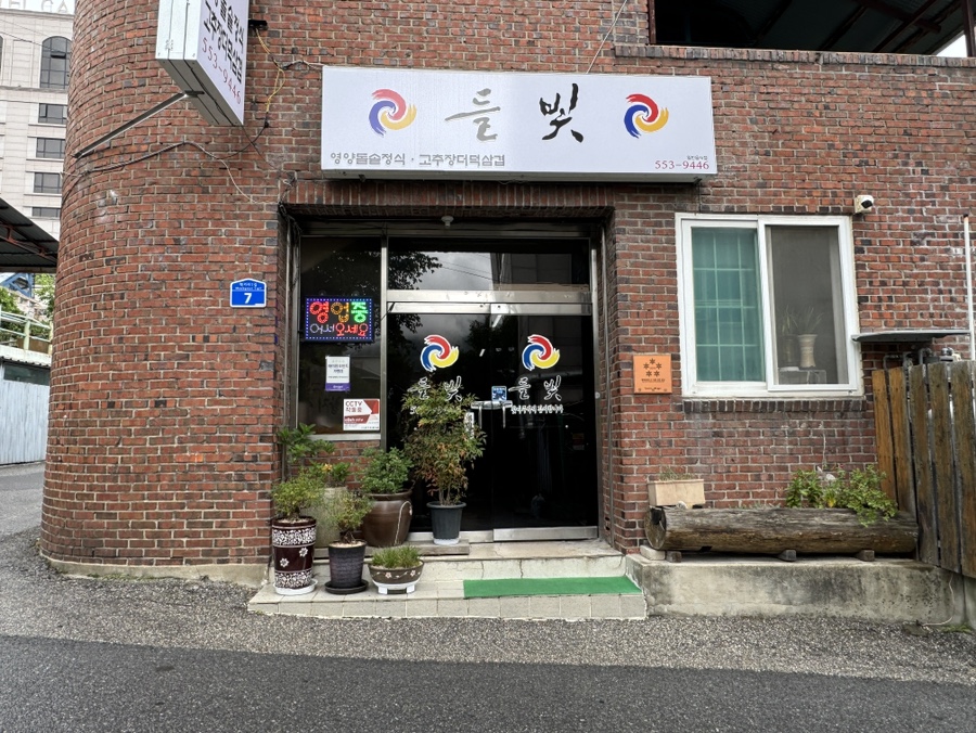 들빛 사진 6