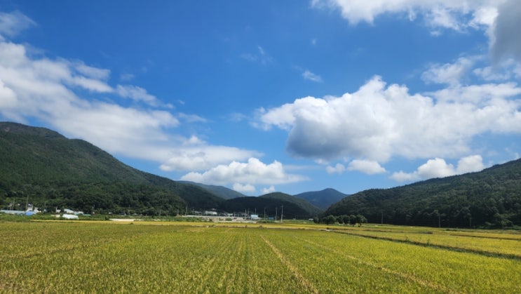 거제도 학동흑진주몽돌해수욕장