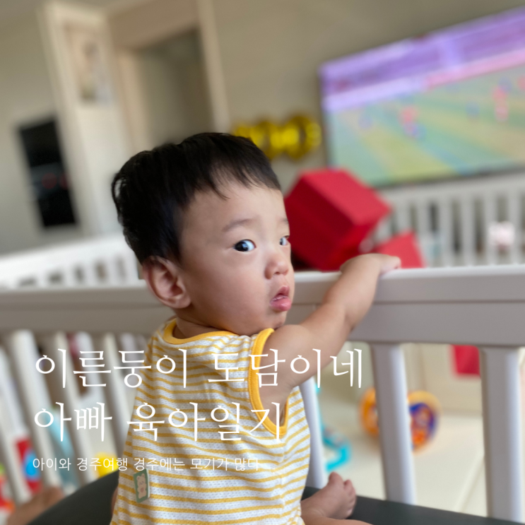 아이와 경주여행 경주에는 모기가 많다 D+318 아이와 경주여행 경주에는 모기가 많다 D+318