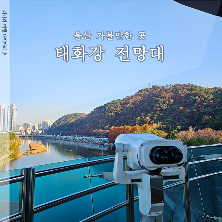  울산 태화강전망대 전경 주차장 입장료 시간 방문 후기