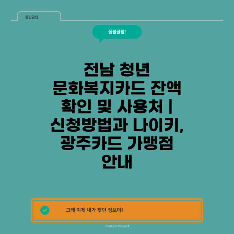 전남 청년 문화복지카드 잔액 확인 및 사용처 | 신청방법과 나이키, 광주카드 가맹점 안내