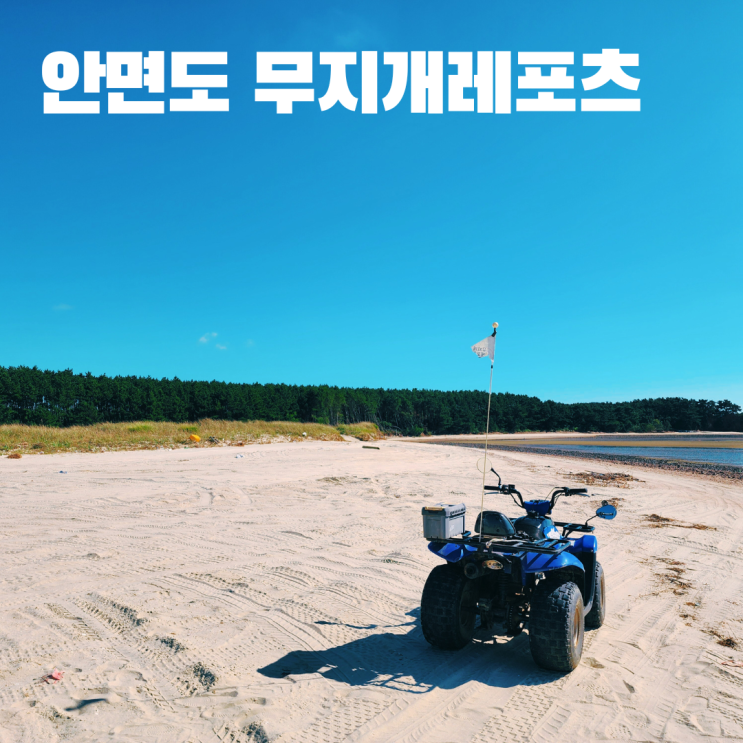  안면도ATV 무지개레포츠 충남 태안 여행 놀거리 가볼만한 곳 익스트림 코스 후기