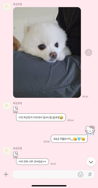 사진 3