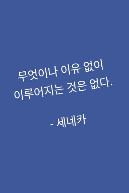 인과관계 인과관계