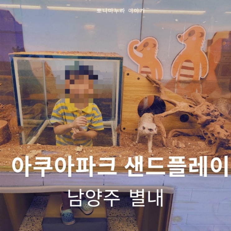  아쿠아파크 샌드플레이 별내 실내 동물체험장
