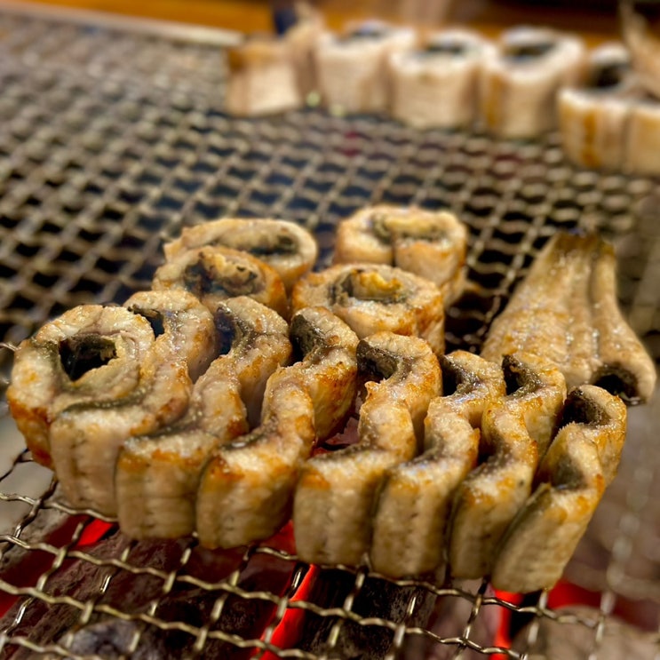  용인 화산CC 맛집 장어 맛있는 곳 장어명가풍천민물장어직판장