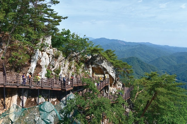 사진 6