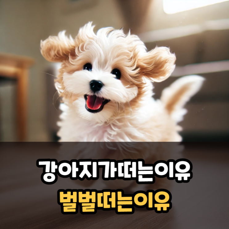  강아지가떠는이유 벌벌떠는이유
