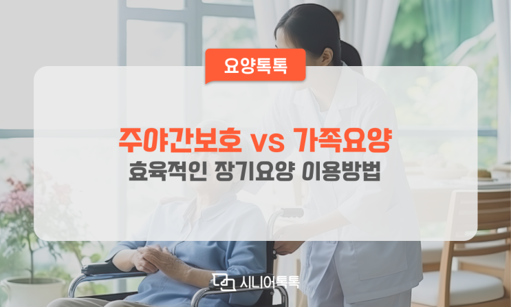  효율적인 장기요양 이용방법, 주야간보호vs 가족요양