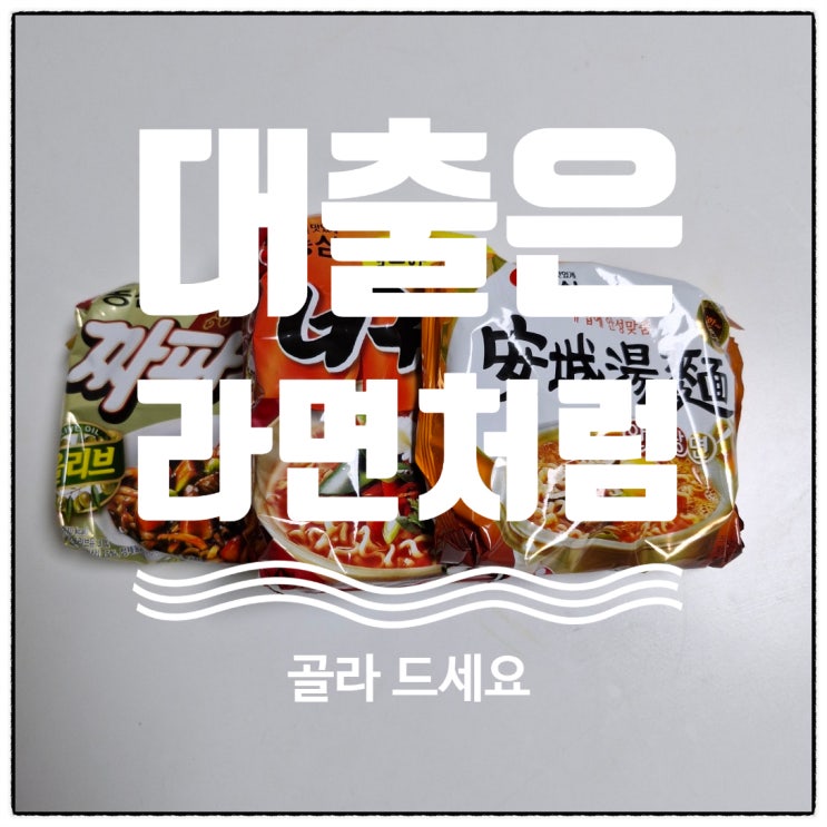  '대출'은 라면처럼 종류가 많아요. 먹고 싶은 라면으로 드시면 됩니다.