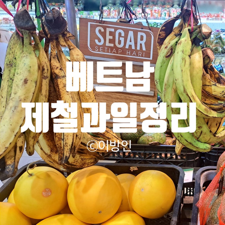  내가 보려고 I 베트남제철과일 계절별 정리  I 하노이기준