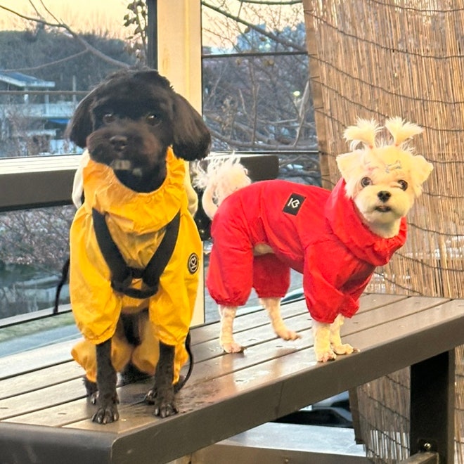 24.09 [쏘오옥] SSOOOK 강아지우비 바람막이 올인원