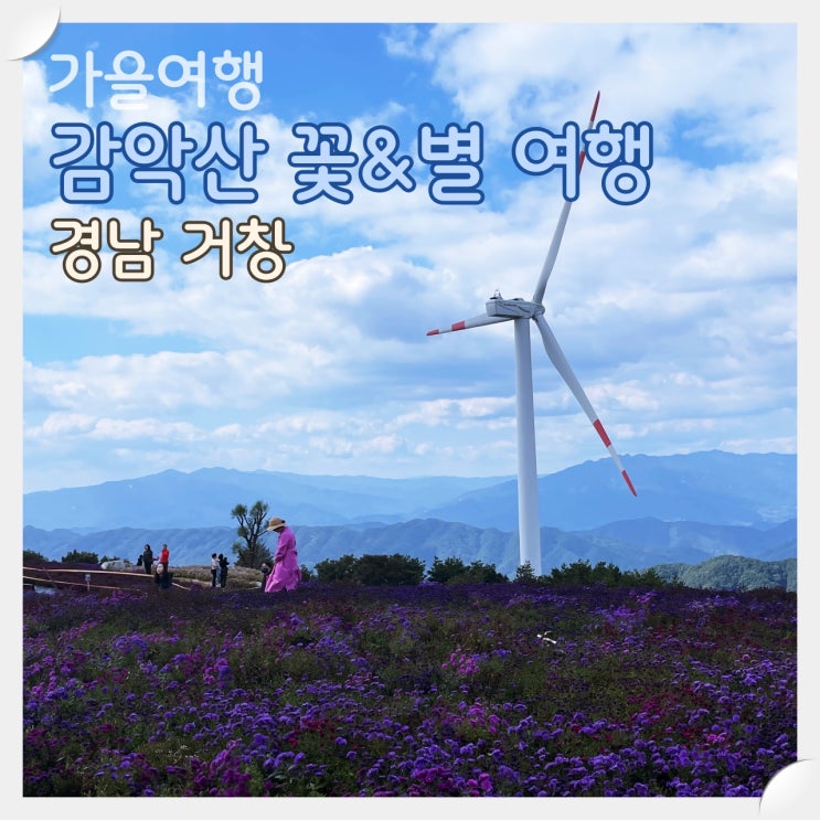  가을에 가볼만한 곳. 경남 거창 감악산 꽃&별 여행