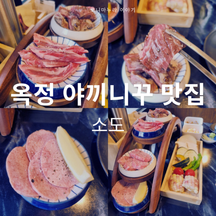  양주 옥정동 맛집 야끼니꾸 전문점 소도 혼술 장소 추천