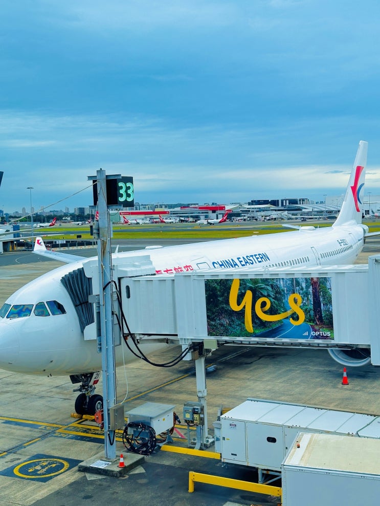 호주 시드니 공항 라운지, 중국동방항공 시드니발 오클랜드행 탑승 후기 호주 시드니 공항 라운지, 중국동방항공 시드니발 오클랜드행 탑승 후기