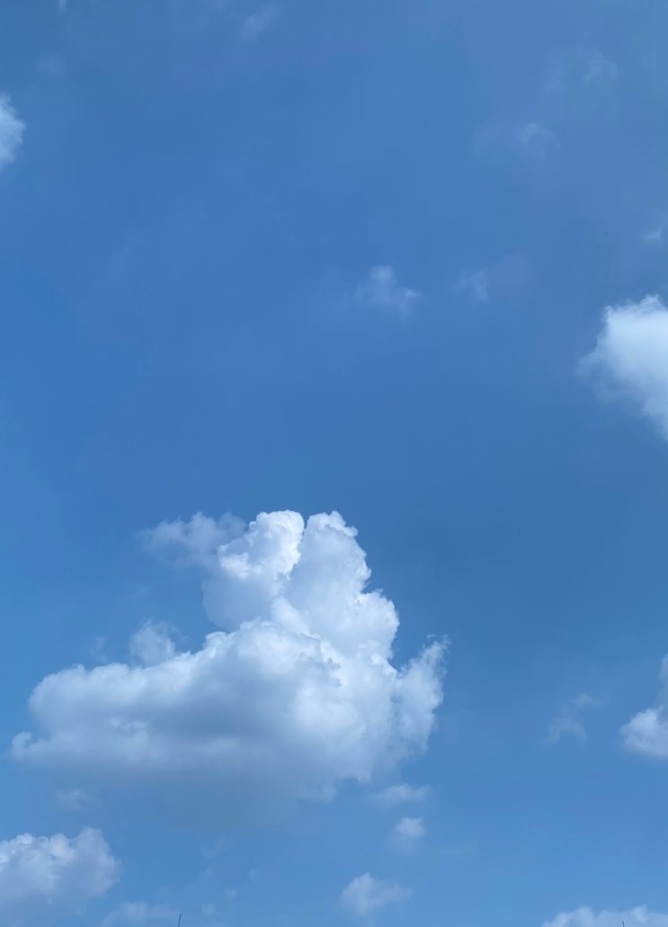  행복한 8월 9월 오프 여행 일상