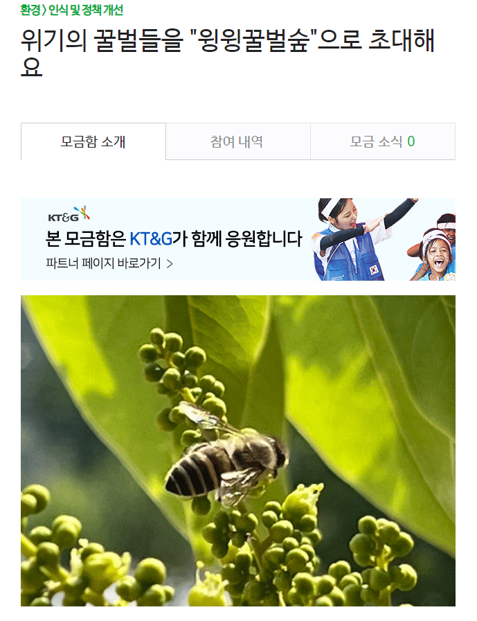  2024년도 가을시즌 기부했습니다. 윙윙꿀벌숲