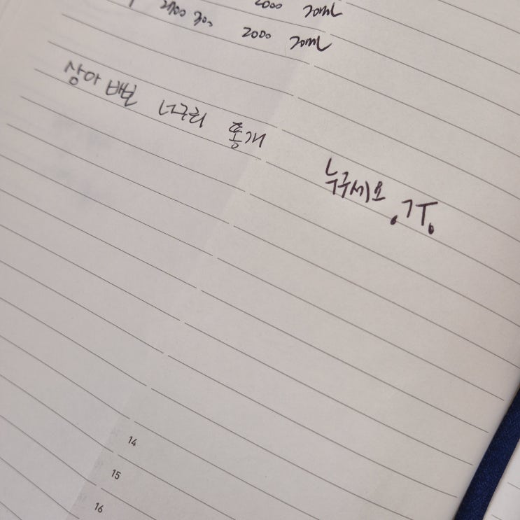  [일기] 24.09.11. 복슬복슬, 시온술, 스팸, 비드, 수요예배, 철분제