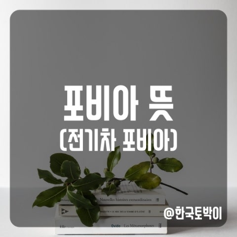  전기차 포비아? 포비아 뜻 (phobia)