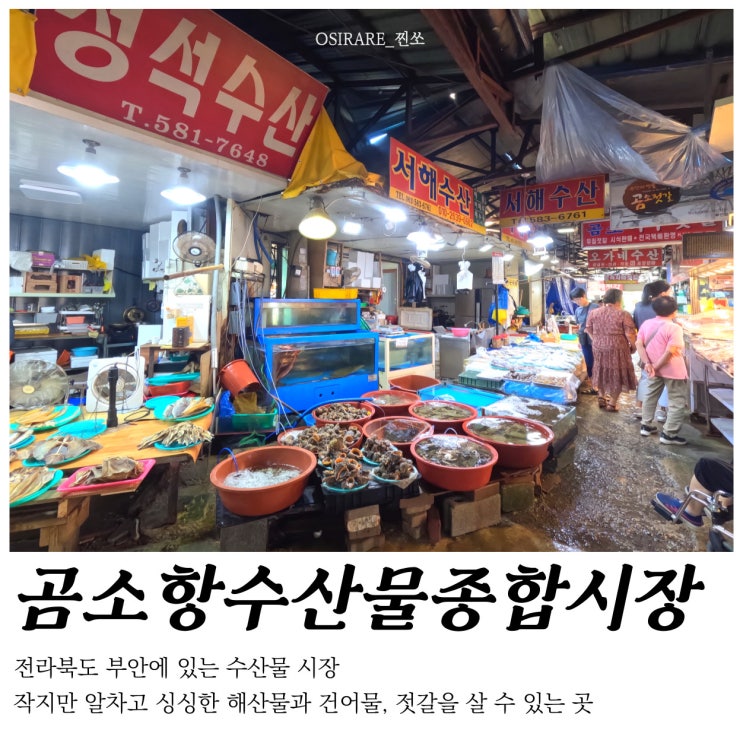  전북 부안 제철 수산물 사러 곰소항 수산물 종합시장 방문