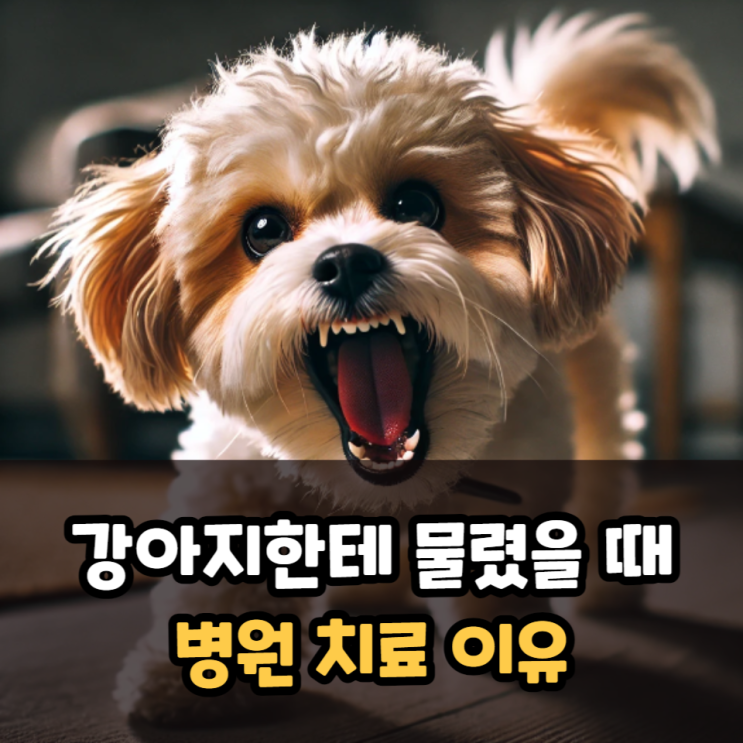  강아지한테 물렸을때 병원 치료 이유(파상풍, 감염 등)