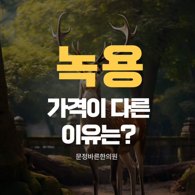 녹용 가격차이가 나는 이유 : 문정바른한의원 녹용 가격차이가 나는 이유 : 문정바른한의원