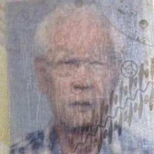 실종경보(조영일)