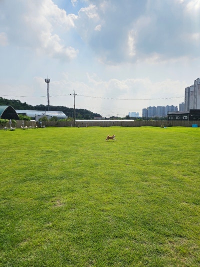 사진 5